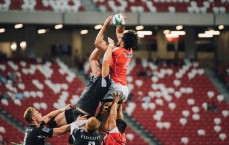 开云官网|拜仁主场连斩汉堡九场不败，狂揽51球仅失3球展霸主雄风