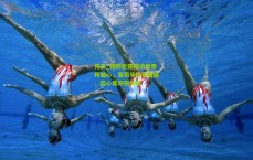 开云_帕利尼亚畅谈世界杯雄心，葡萄牙阵容鼎盛，信心是夺冠关键