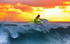 开云官网|欧冠新纪元，18岁巴西天才埃斯特旺比肩姆巴佩哈兰德创历史