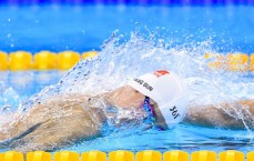 开云|西部巅峰对决，申京布克领衔 火箭太阳连胜之争白热化