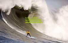 kaiyun：土耳其足协力挺蒙特拉帅位稳固，球队稳定成未来发展基石