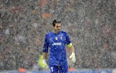 开云官网：梅西新秀卡以150万美元天价成交，刷新全球球星卡交易纪录